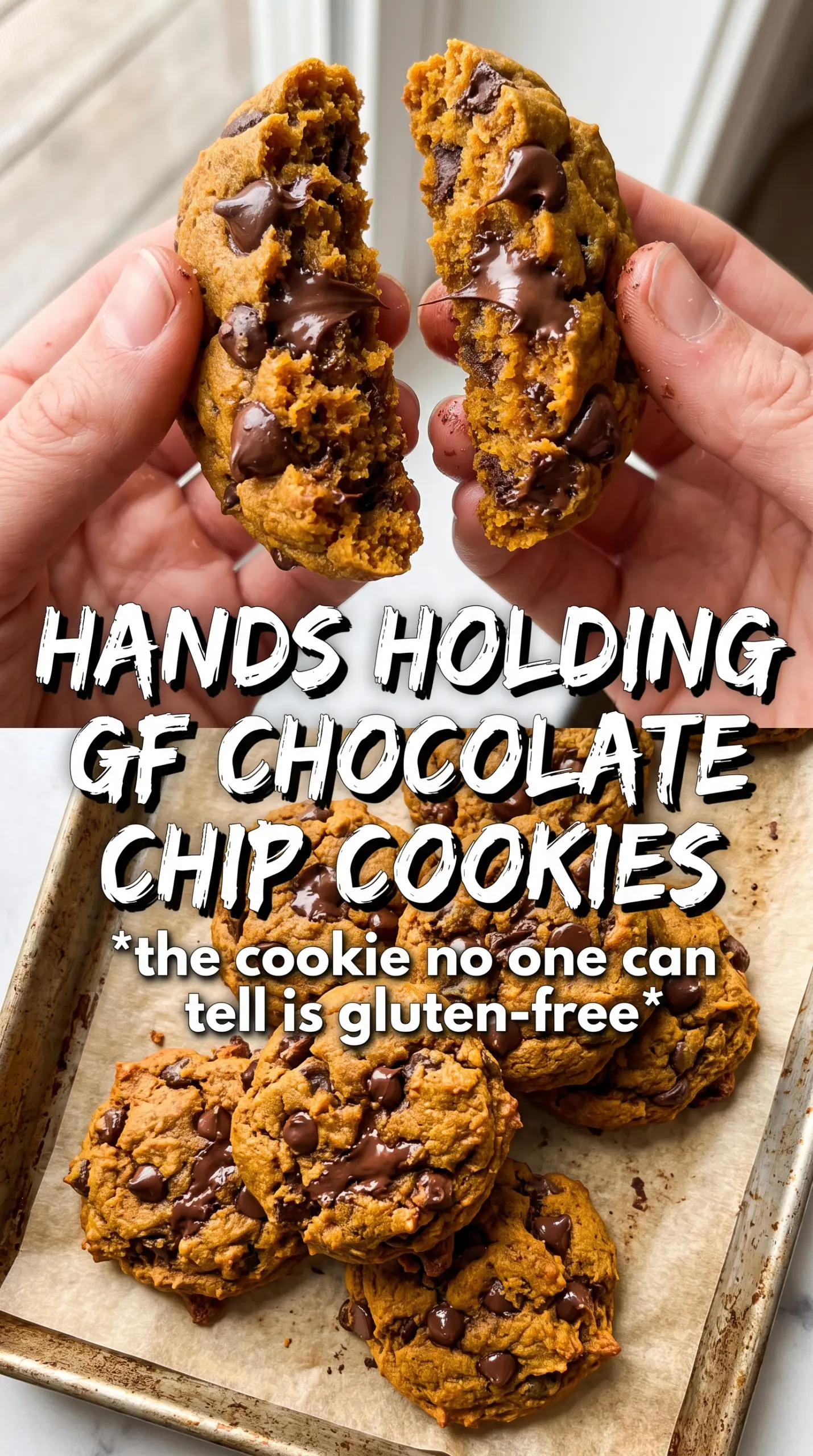 Chocolate chip gluten free pumpkin cookies soft golden chocolate-studded