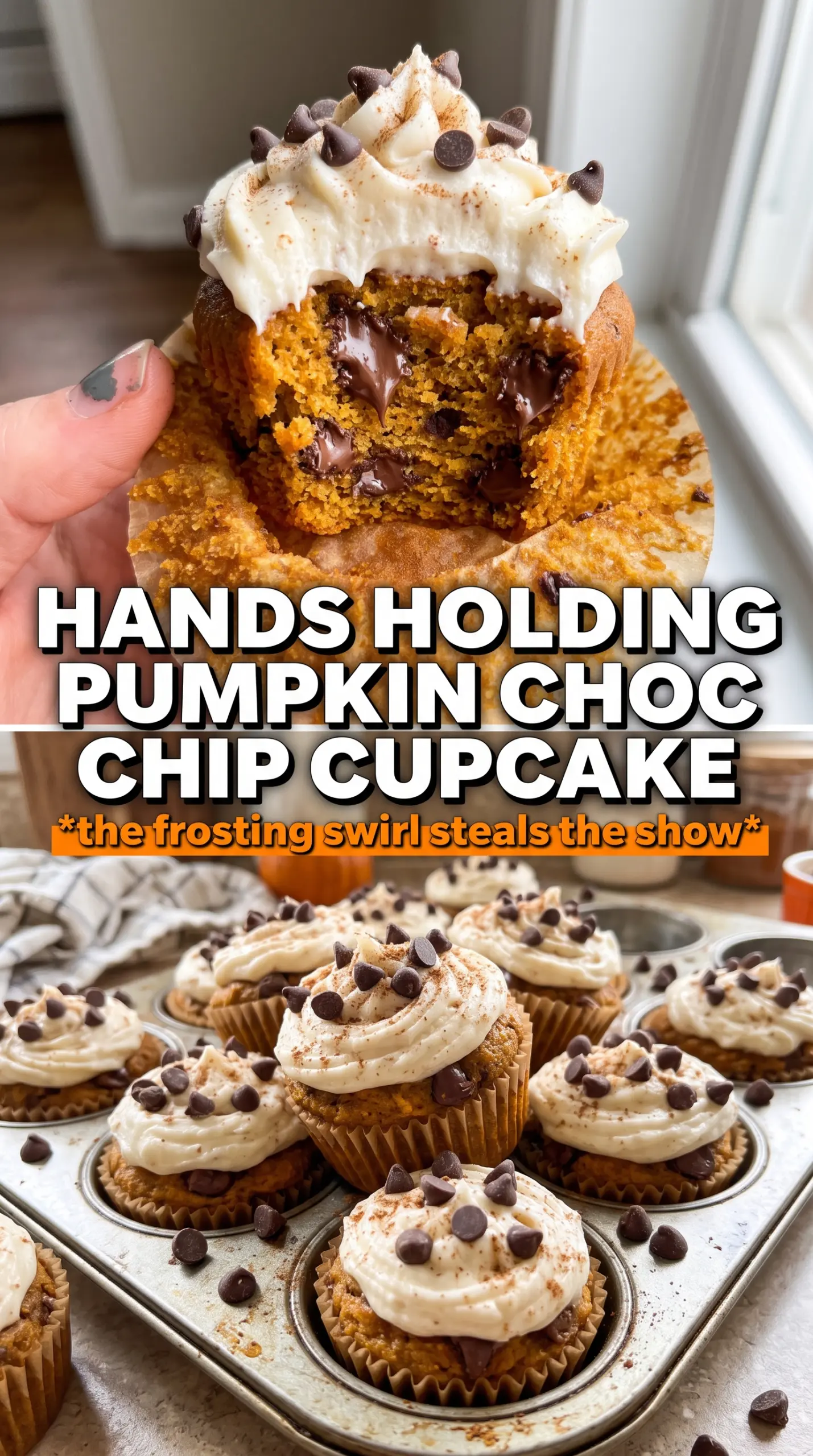 Pumpkin Chocolate Chip Cupcakes with chocolate frosting, pumpkin spice