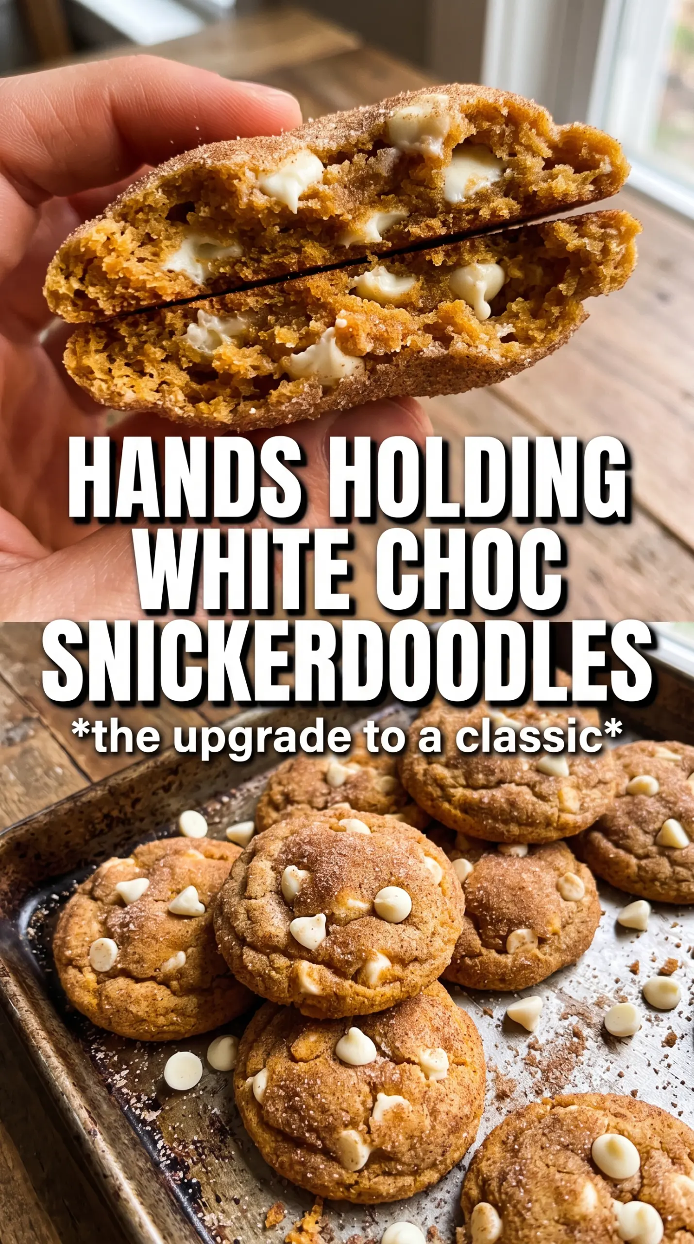White Chocolate Pumpkin Snickerdoodles warm spiced cookies